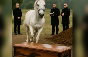 During the funeral, a horse suddenly emerged from the woods and ran straight toward the coffin — the attendees were stunned when they found out why the animal did this