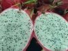 Doctor Reveals Eating Dragon Fruit Causes…