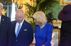 Viral photo of Donald and Melania Trump with Royal Family has fans pointing out same thing