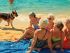 The girlfriends were relaxing on the beach when a dog ran up to them and began barking loudly: suddenly one of the women turned pale, looking closely at the dog’s fur