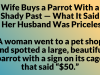 Wife Buys a Parrot With a Shady Past — What It Said to Her Husband Was Priceless!