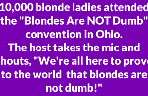 Blondes Are NOT Dumb